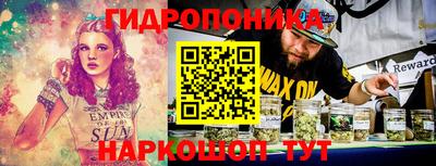 СК Сланцы