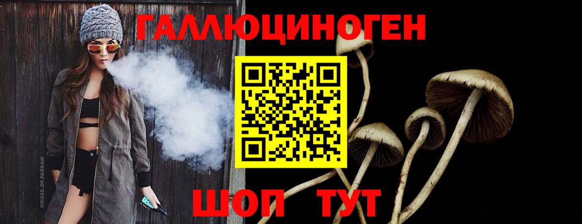 Сальск  Галлюциногенные грибы Magic Shrooms  Вход с VPN 